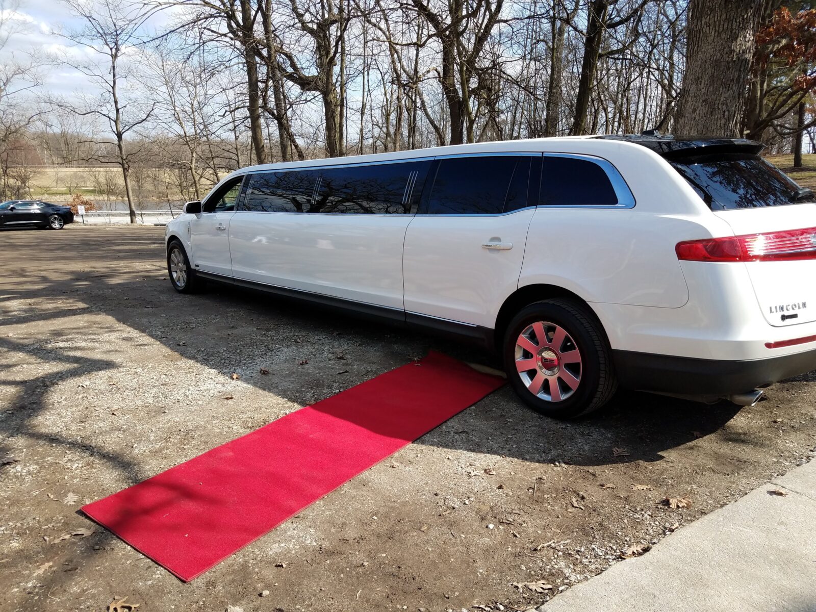 A white limousine is parked on a dirt path beside a red carpet laid out on the ground. The background shows bare trees and a parked car in the distance.